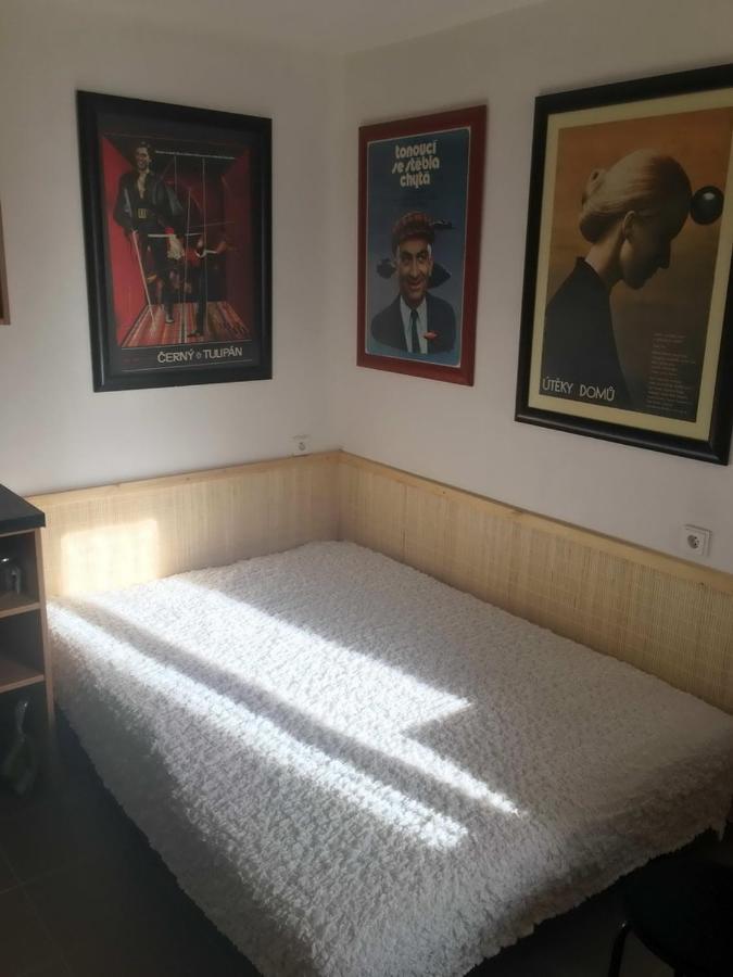 Male Utulne Studio S Koupelnou A Kuchynkou Svinarov المظهر الخارجي الصورة